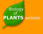 Biology of Plants website