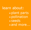 Learn about: plant parts, pollination, seeds, and more...